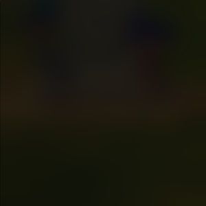 Meet your Posher, Halie